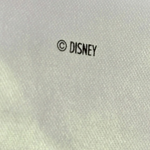 Disney Store Frozen II 2 Elsa Dress Costume‎ Girls Size 4 Princess Halloween - Picture 7 of 7